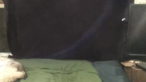 Riley Ray online show from November 1, 1:51 am