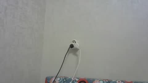 Snapshot of snowyqred chatting on December 19, 5:09 pm Arthur online show from December 19, 5:09 pm