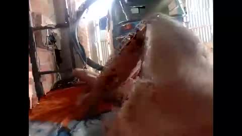 Snapshot of snqhephncxpu chatting on February 17, 1:18 pm snqhephncxpu online show from February 17, 1:18 pm