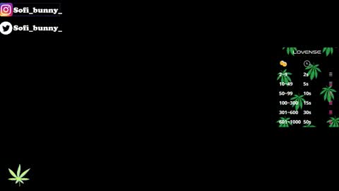 soffi_bunny_ online show from January 8, 8:05 am