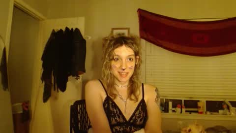 Snapshot of soffpurr chatting on November 1, 8:38 am Lilytea online show from November 1, 8:38 am