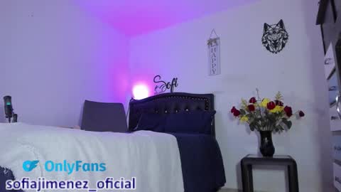 Snapshot of sofiajimenez_ chatting on February 17, 1:13 am Sofia Jimenez online show from February 17, 1:13 am
