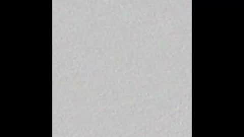 Sofi online show from November 4, 11:31 am