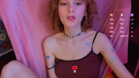 E online show from April 17, 12:08 pm