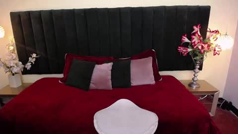 Snapshot of soft_attraction chatting on November 17, 10:04 pm Cam and Amy online show from November 17, 10:04 pm