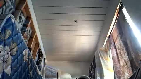 Snapshot of sohan730903 chatting on October 1, 7:20 pm sohan730903 online show from October 1, 7:20 pm