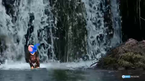 solisii online show from November 1, 9:11 am