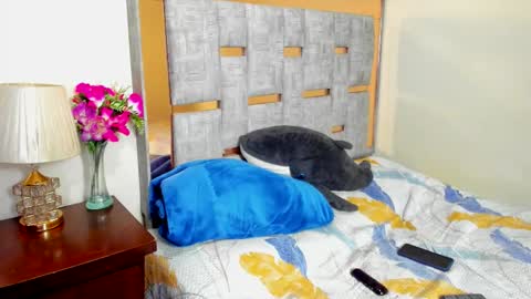 Snapshot of sophia_harry chatting on December 2, 2:17 am sophia CM online show from December 2, 2:17 am