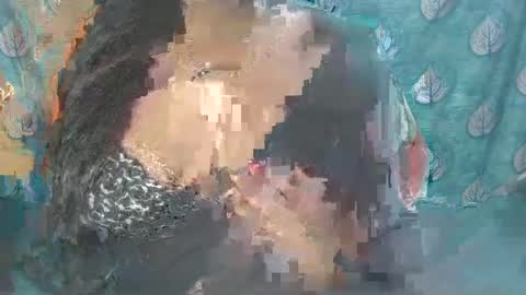 Snapshot of sophia_indian chatting on February 24, 8:38 am Sophia Tamil online show from February 24, 8:38 am
