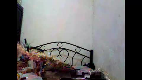 Snapshot of sophialaurel chatting on October 1, 6:52 am sophialaurel online show from October 1, 6:52 am