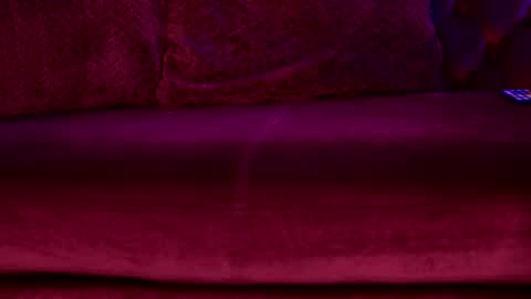 Snapshot of sophiapotts chatting on February 17, 2:41 am Sophie online show from February 17, 2:41 am