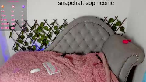 Snapshot of sophiconic_cb chatting on February 7, 3:01 am Clara sophia online show from February 7, 3:01 am