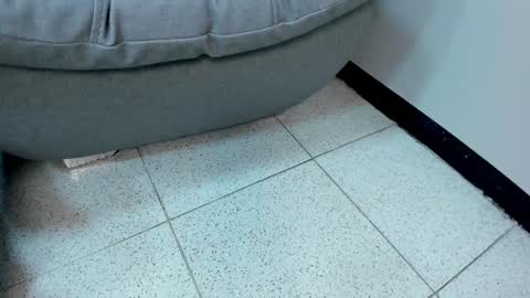 Snapshot of sophieharris__ chatting on January 18, 5:41 am sophieharris__ online show from January 18, 5:41 am