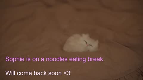 Snapshot of sophiephoria chatting on February 6, 7:40 pm Sophie Next stream 3 online show from February 6, 7:40 pm