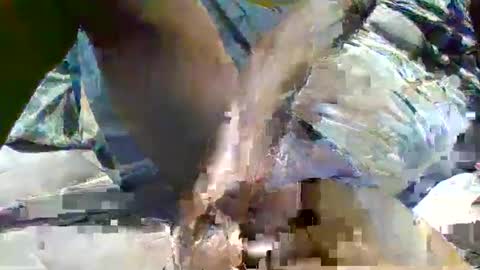 Snapshot of source1012 chatting on January 16, 11:59 pm source1012 online show from January 16, 11:59 pm