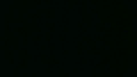 southdbd online show from March 27, 5:23 pm