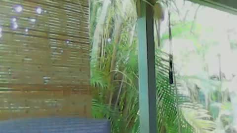 Snapshot of soveryhandsome chatting on January 4, 5:58 am soveryhandsome online show from January 4, 5:58 am