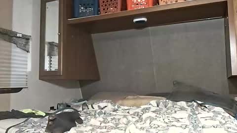 speedo_tx online show from March 7, 10:23 am