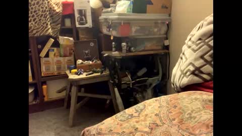 spermdoner23 online show from November 10, 1:32 pm
