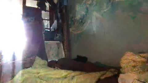Snapshot of srekos38 chatting on October 7, 6:32 am srekos38 online show from October 7, 6:32 am