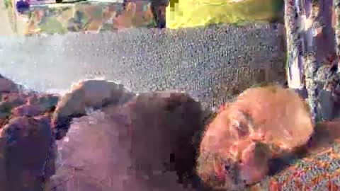 Snapshot of srekos38 chatting on October 10, 12:37 pm srekos38 online show from October 10, 12:37 pm