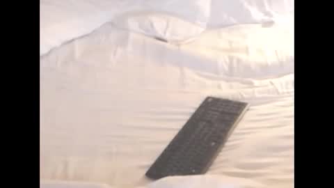 st8llion online show from November 8, 2:12 am