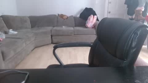 Stacy Banks online show from February 6, 2:15 pm