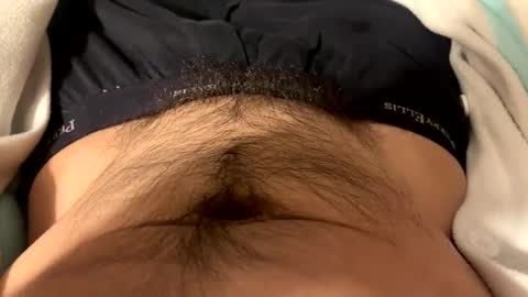 Snapshot of stankfox chatting on December 21, 2:41 am stankfox online show from December 21, 2:41 am