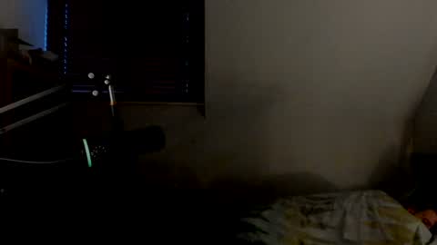 Snapshot of starlight1987 chatting on January 4, 8:17 am Adam online show from January 4, 8:17 am