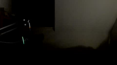 Snapshot of starlight1987 chatting on January 11, 5:52 am Adam online show from January 11, 5:52 am