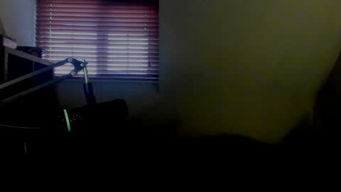 Snapshot of starlight1987 chatting on January 13, 8:05 am Adam online show from January 13, 8:05 am