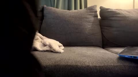 Snapshot of starr3095 chatting on September 17, 1:46 pm starr3095 online show from September 17, 1:46 pm