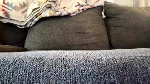 Snapshot of starr3095 chatting on November 4, 3:22 pm starr3095 online show from November 4, 3:22 pm