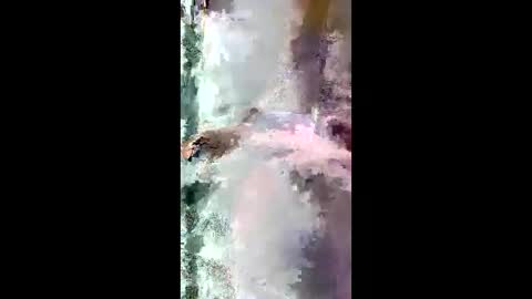 StarryWhispers online show from March 28, 11:21 am