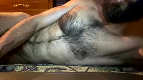 Lobo del Antiguo Oriente online show from April 6, 1:25 am