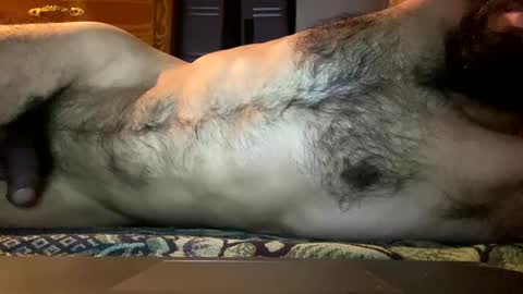 Lobo del Antiguo Oriente online show from April 11, 7:45 am