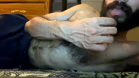 Lobo del Antiguo Oriente online show from April 13, 11:54 pm