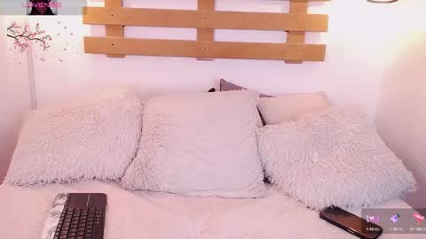 Steev online show from February 2, 10:24 am