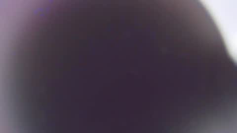 Snapshot of stefano_calle chatting on December 3, 11:41 am Stefano online show from December 3, 11:41 am