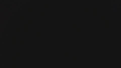 Steisha online show from January 29, 9:33 am