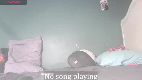 Stella Clitella online show from November 24, 9:09 am