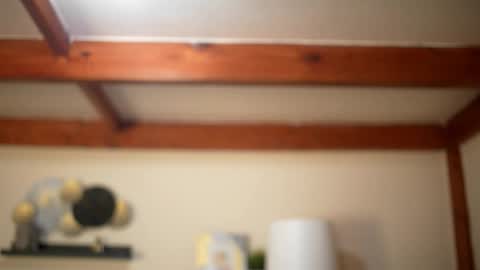 Stella online show from February 22, 9:08 am