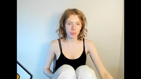 S T E L L A online show from November 20, 8:03 am