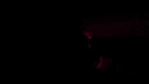 stephan6078 online show from July 31, 2:33 am