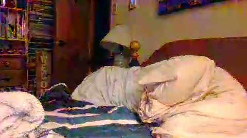 Ian23602 online show from December 19, 12:01 pm