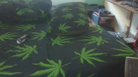 Snapshot of steveaussie chatting on May 14, 6:31 am Australian420 online show from May 14, 6:31 am