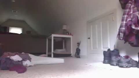 steve online show from October 13, 5:57 pm