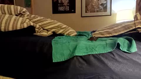 stoppageflo45662 online show from October 24, 10:55 am