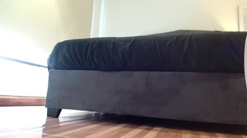 storm_hanks online show from January 7, 9:56 am