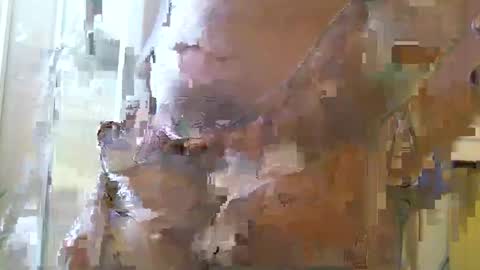 straightstroker81 online show from December 11, 6:58 am